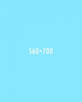 CARHARTT LOGO STARTER